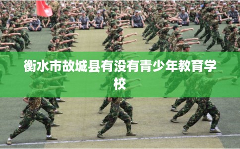衡水市故城县有没有青少年教育学校