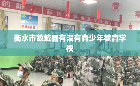 衡水市故城县有没有青少年教育学校