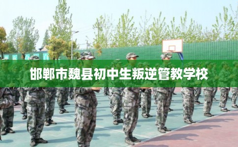 邯郸市魏县初中生叛逆管教学校