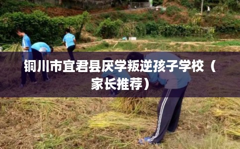 铜川市宜君县厌学叛逆孩子学校(家长推荐) 铜川市宜君县厌学叛逆孩子学校(家长推荐)