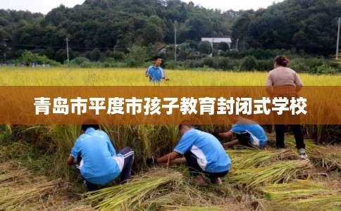 青岛市平度市孩子教育封闭式学校