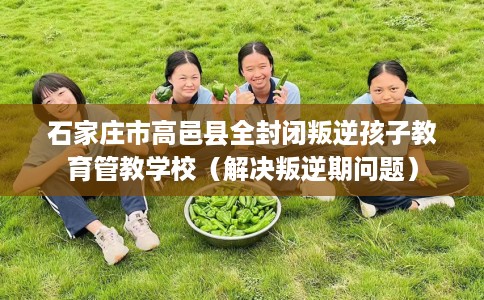 石家庄市高邑县全封闭叛逆孩子教育管教学校（解决叛逆期问题）