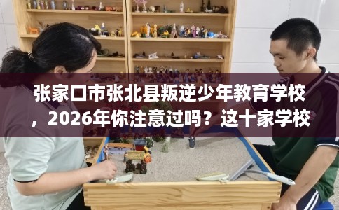 张家口市张北县叛逆少年教育学校，2026年你注意过吗？这十家学校！