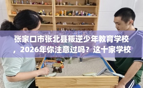 张家口市张北县叛逆少年教育学校，2026年你注意过吗？这十家学校！