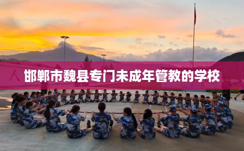 邯郸市魏县专门未成年管教的学校