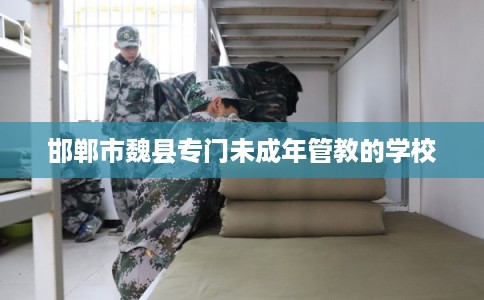 邯郸市魏县专门未成年管教的学校