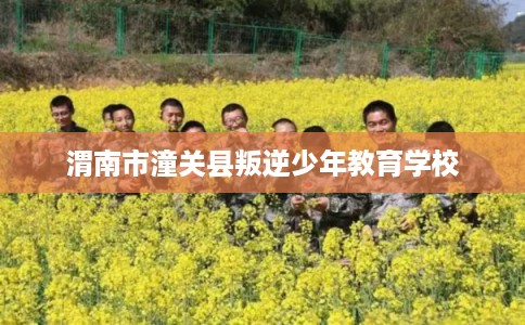 渭南市潼关县叛逆少年教育学校 渭南市潼关县叛逆少年教育学校
