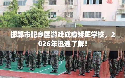 邯郸市肥乡区游戏成瘾矫正学校，2026年迅速了解！