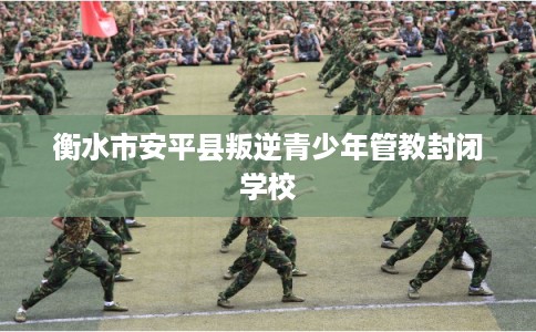 衡水市安平县叛逆青少年管教封闭学校