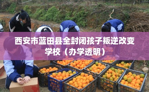 西安市蓝田县全封闭孩子叛逆改变学校（办学透明）