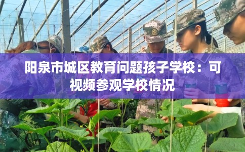 阳泉市城区教育问题孩子学校:可视频参观学校情况 阳泉市城区教育问题孩子学校:可视频参观学校情况
