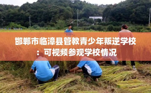 邯郸市临漳县管教青少年叛逆学校:可视频参观学校情况 邯郸市临漳县管教青少年叛逆学校:可视频参观学校情况