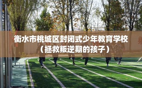 衡水市桃城区封闭式少年教育学校（拯救叛逆期的孩子）