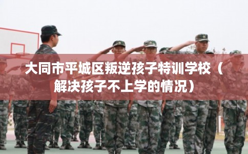 大同市平城区叛逆孩子特训学校(解决孩子不上学的情况) 大同市平城区叛逆孩子特训学校(解决孩子不上学的情况)
