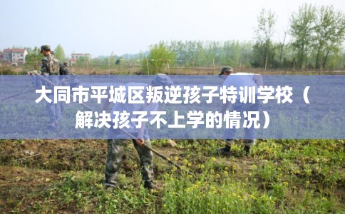 大同市平城区叛逆孩子特训学校(解决孩子不上学的情况) 大同市平城区叛逆孩子特训学校(解决孩子不上学的情况)