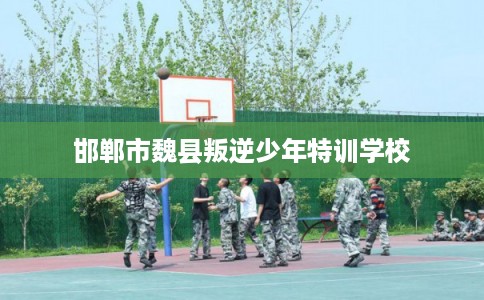 邯郸市魏县叛逆少年特训学校