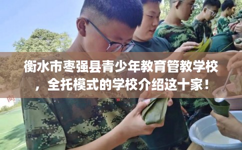 衡水市枣强县青少年教育管教学校，全托模式的学校介绍这十家！