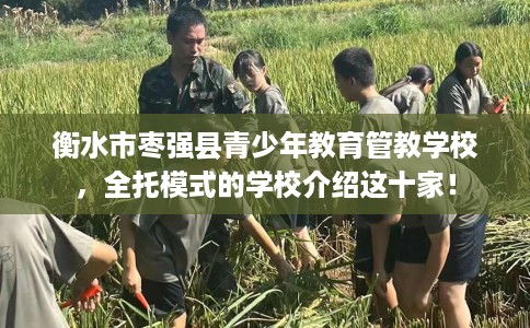 衡水市枣强县青少年教育管教学校，全托模式的学校介绍这十家！