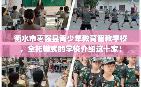 衡水市枣强县青少年教育管教学校，全托模式的学校介绍这十家！