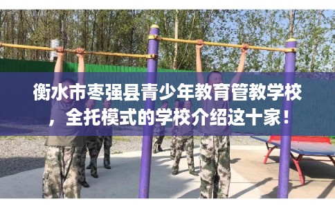 衡水市枣强县青少年教育管教学校，全托模式的学校介绍这十家！