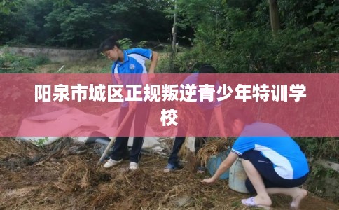 阳泉市城区正规叛逆青少年特训学校 阳泉市城区正规叛逆青少年特训学校