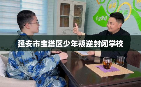 延安市宝塔区少年叛逆封闭学校 延安市宝塔区少年叛逆封闭学校