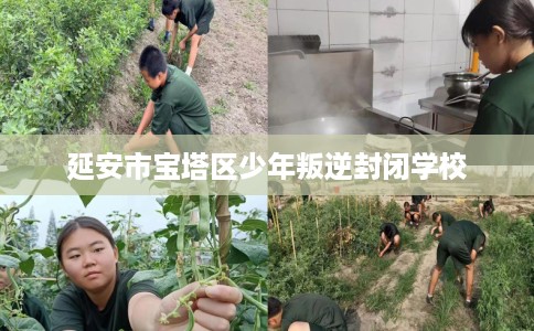 延安市宝塔区少年叛逆封闭学校 延安市宝塔区少年叛逆封闭学校