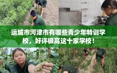 运城市河津市有哪些青少年特训学校，好评极高这十家学校！