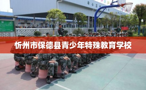 忻州市保德县青少年特殊教育学校 忻州市保德县青少年特殊教育学校