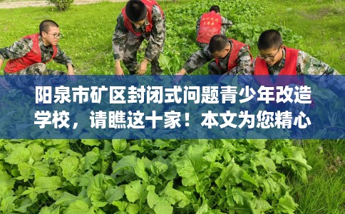 阳泉市矿区封闭式问题青少年改造学校,请瞧这十家!本文为您精心筛选! 阳泉市矿区封闭式问题青少年改造学校,请瞧这十家!本文为您精心筛选!
