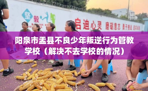 阳泉市盂县不良少年叛逆行为管教学校(解决不去学校的情况) 阳泉市盂县不良少年叛逆行为管教学校(解决不去学校的情况)