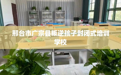 邢台市广宗县叛逆孩子封闭式培训学校 邢台市广宗县叛逆孩子封闭式培训学校