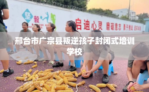 邢台市广宗县叛逆孩子封闭式培训学校 邢台市广宗县叛逆孩子封闭式培训学校