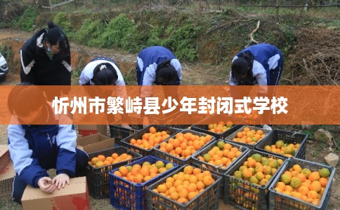 忻州市繁峙县少年封闭式学校