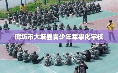 廊坊市大城县青少年军事化学校 廊坊市大城县青少年军事化学校