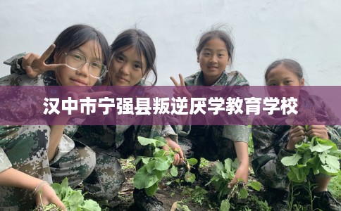 汉中市宁强县叛逆厌学教育学校 汉中市宁强县叛逆厌学教育学校