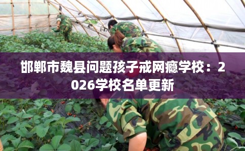 邯郸市魏县问题孩子戒网瘾学校:2026学校名单更新 邯郸市魏县问题孩子戒网瘾学校:2026学校名单更新