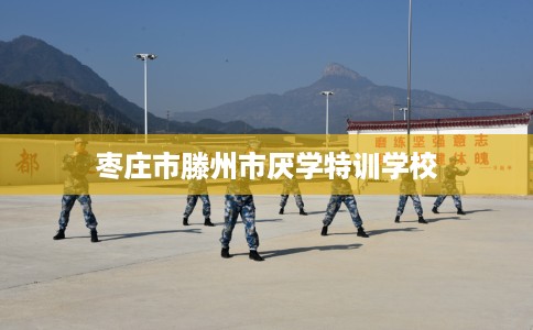 枣庄市滕州市厌学特训学校