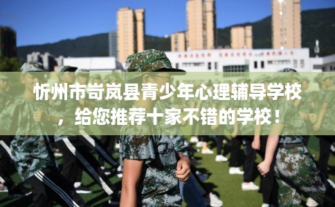 忻州市岢岚县青少年心理辅导学校，给您推荐十家不错的学校！