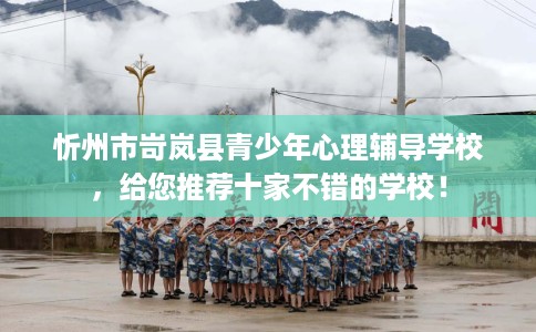 忻州市岢岚县青少年心理辅导学校，给您推荐十家不错的学校！