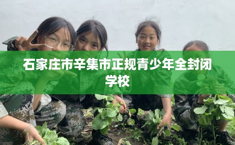 石家庄市辛集市正规青少年全封闭学校 石家庄市辛集市正规青少年全封闭学校