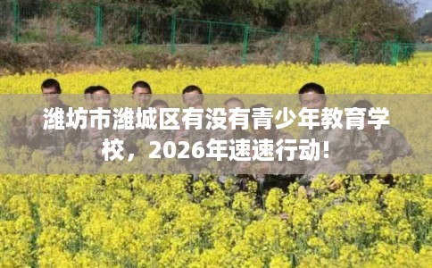 潍坊市潍城区有没有青少年教育学校，2026年速速行动!