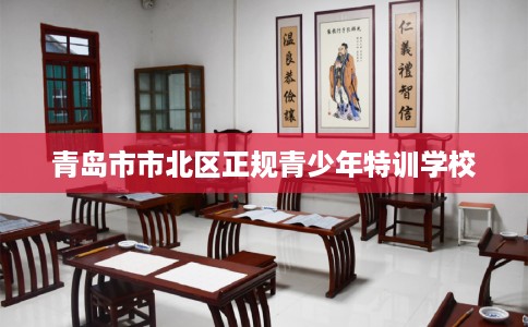 青岛市市北区正规青少年特训学校
