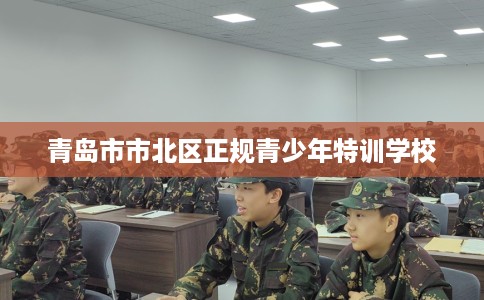 青岛市市北区正规青少年特训学校