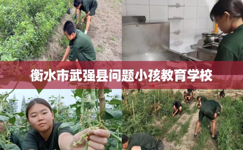 衡水市武强县问题小孩教育学校
