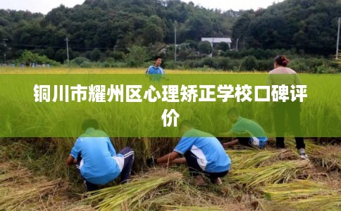 铜川市耀州区心理矫正学校口碑评价 铜川市耀州区心理矫正学校口碑评价