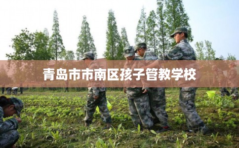 青岛市市南区孩子管教学校