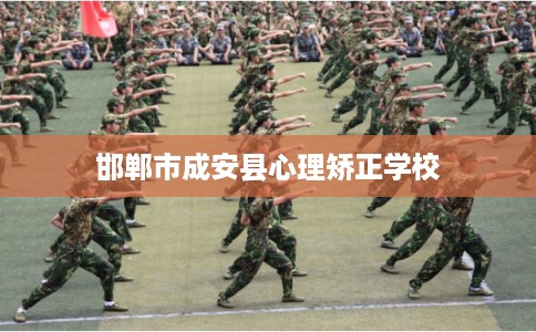 邯郸市成安县心理矫正学校