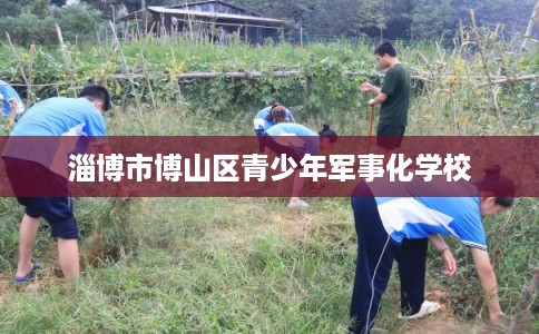 淄博市博山区青少年军事化学校