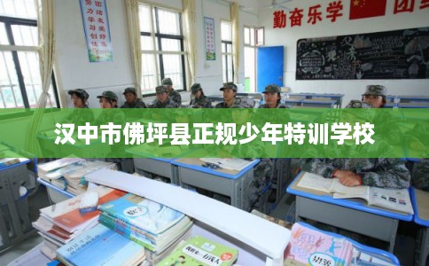 汉中市佛坪县正规少年特训学校